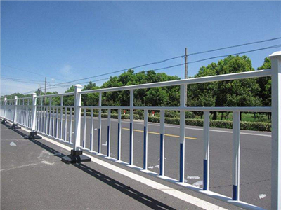 市政道路護(hù)欄網(wǎng)